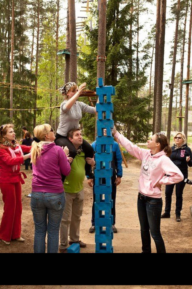 2136_1446201284.jpg