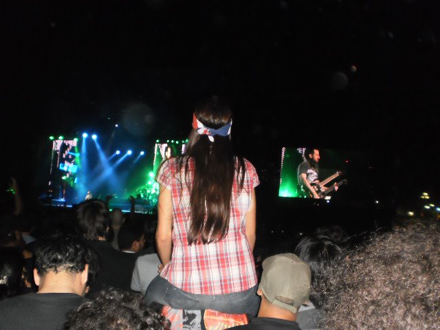 25627_1405886454.jpg