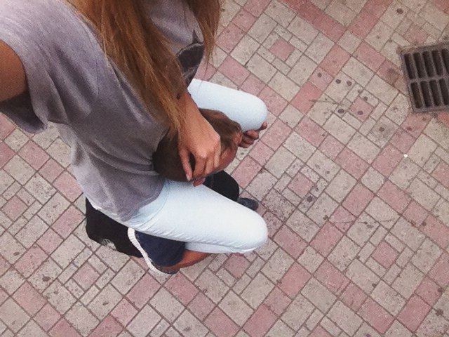 32_1499712816.jpg